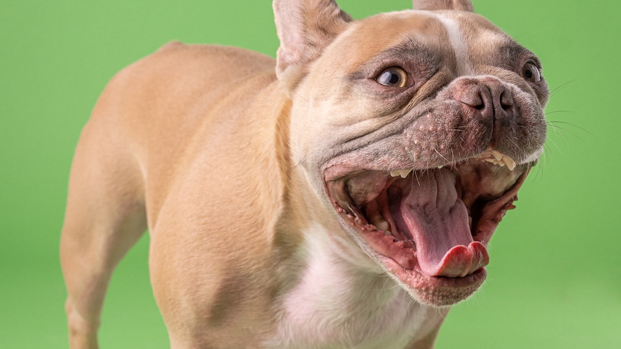 Have a Great Weekend.