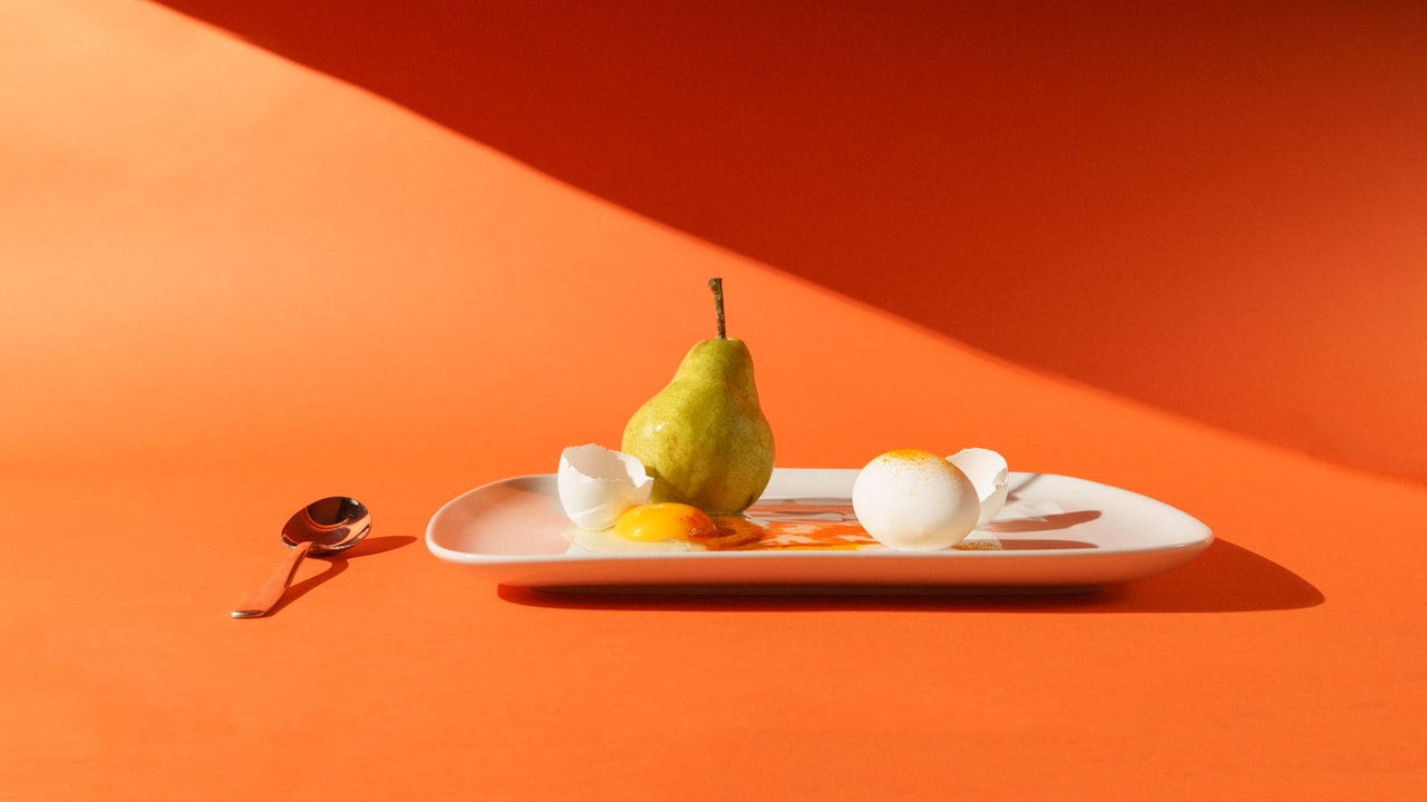 Perfect Egg Cartons For Daily Life