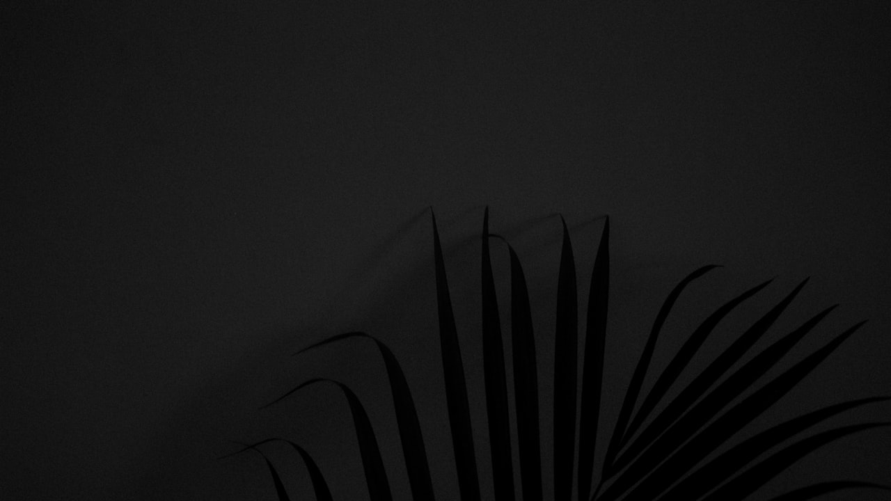 Why Black water bottle is Popular