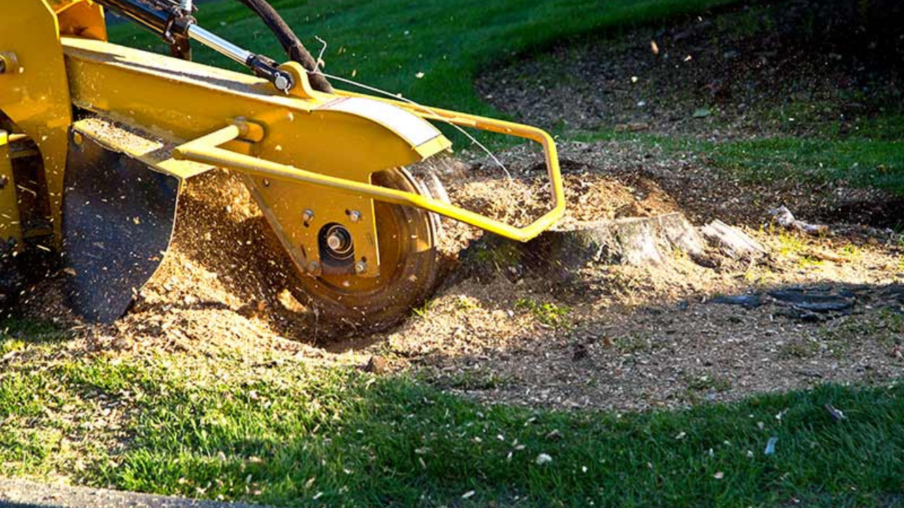 Why Investing in High-Quality Stump Grinder Wear Parts Saves Money
